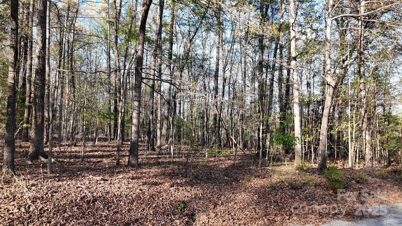 00 Richardson Creek Ln., Forest City, NC 28043