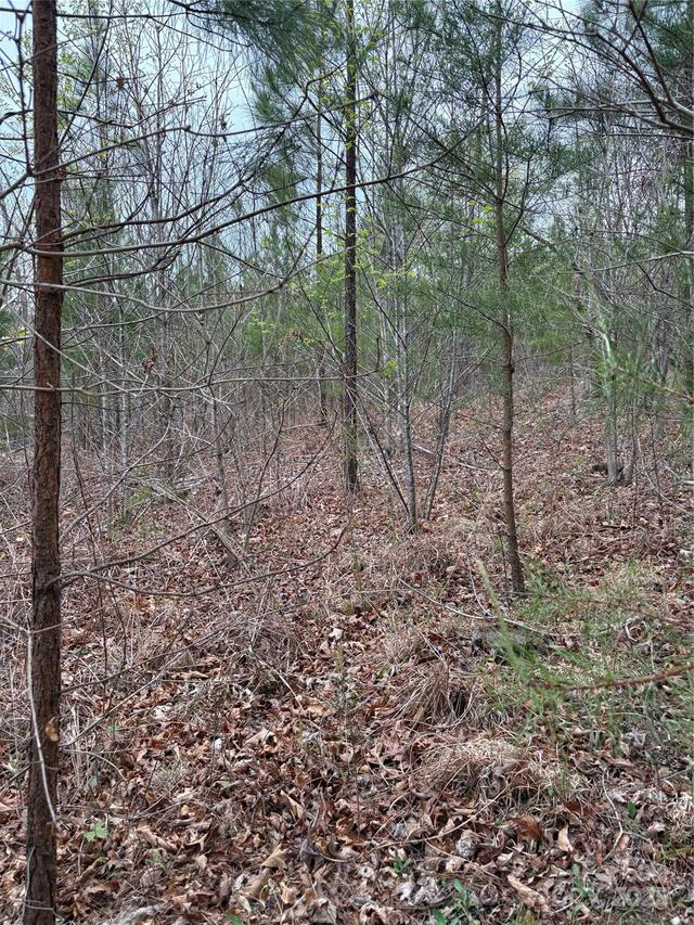 Rose Hollow Dr. #Tract 2, Mill Spring, NC 28756