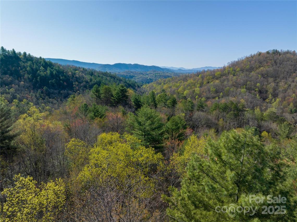 TBH Alf Branch Dr., Marble, NC 28905