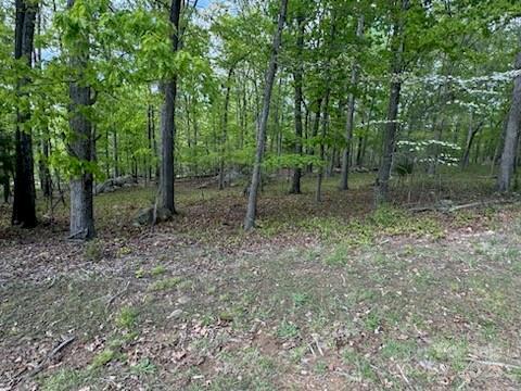 266 Rocky Cove Ln., Denton, NC 27239