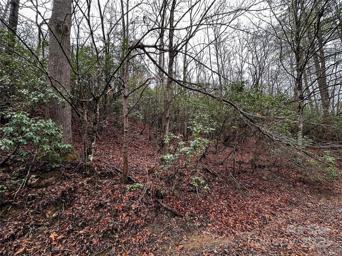 Lot 3 Tara Hills Rd., Whittier, NC 28789