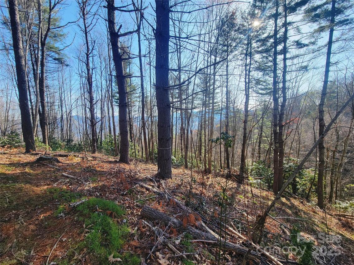 111 Digging Seng Tr. #138, Waynesville, NC 28785