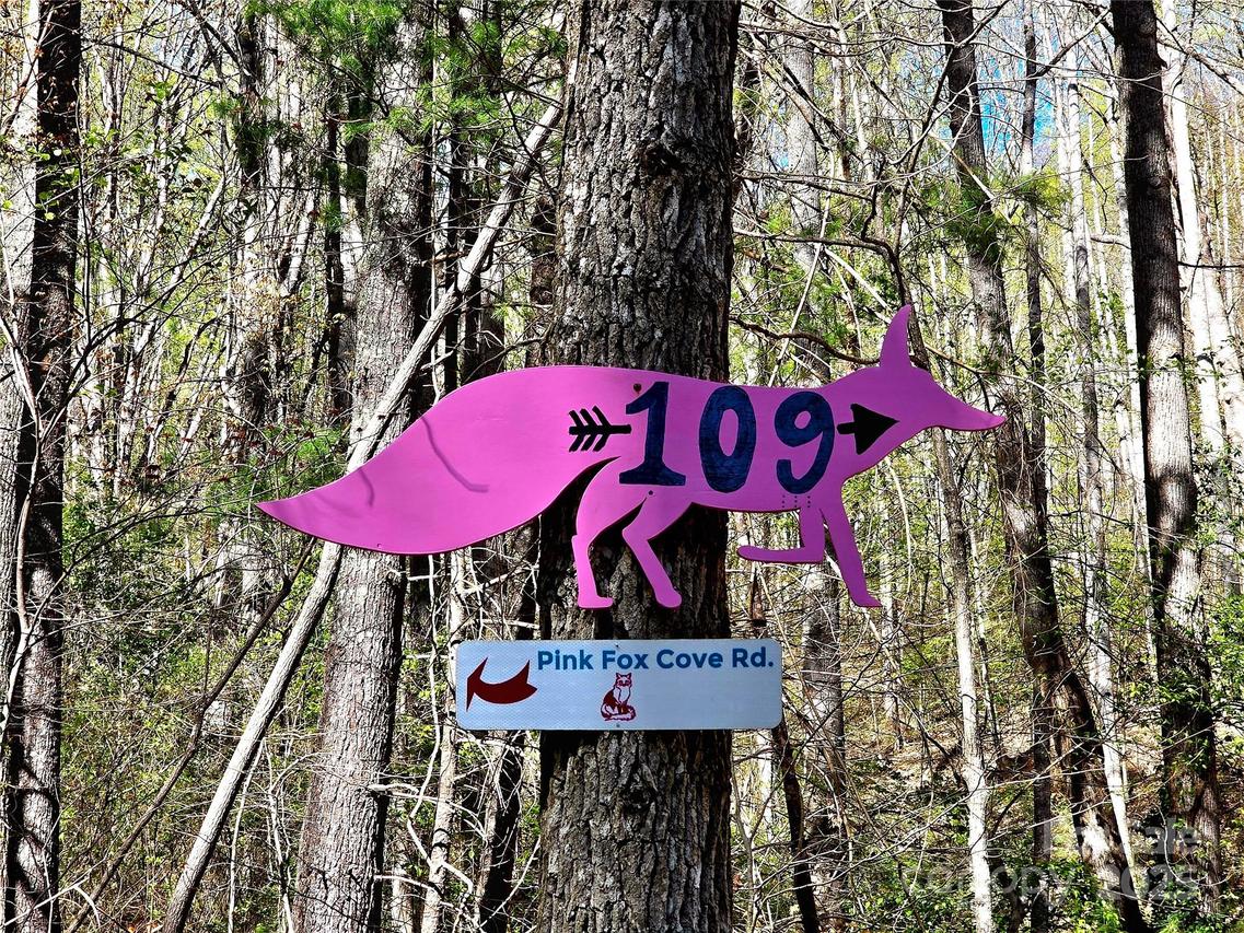 99999 Pink Fox Cove Rd., Weaverville, NC 28787