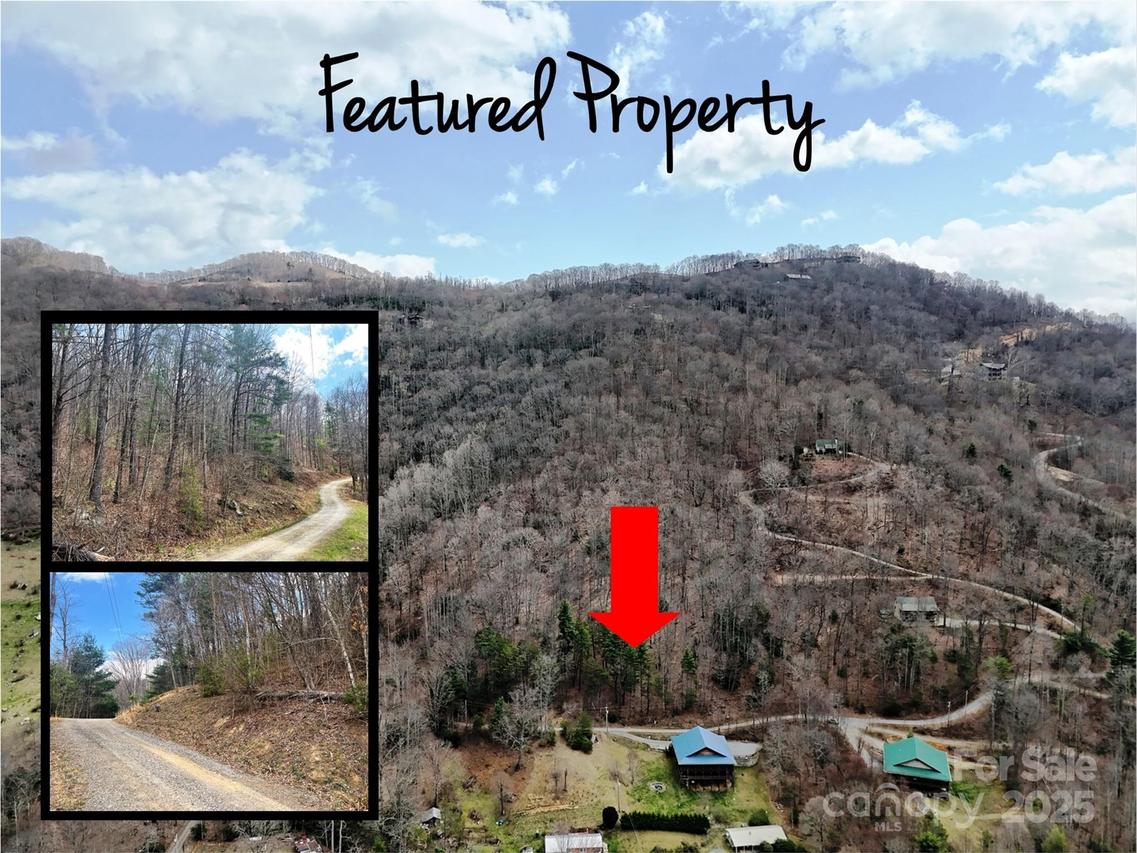 TBD Moonbeam Ln. #101 & 102, Clyde, NC 28721