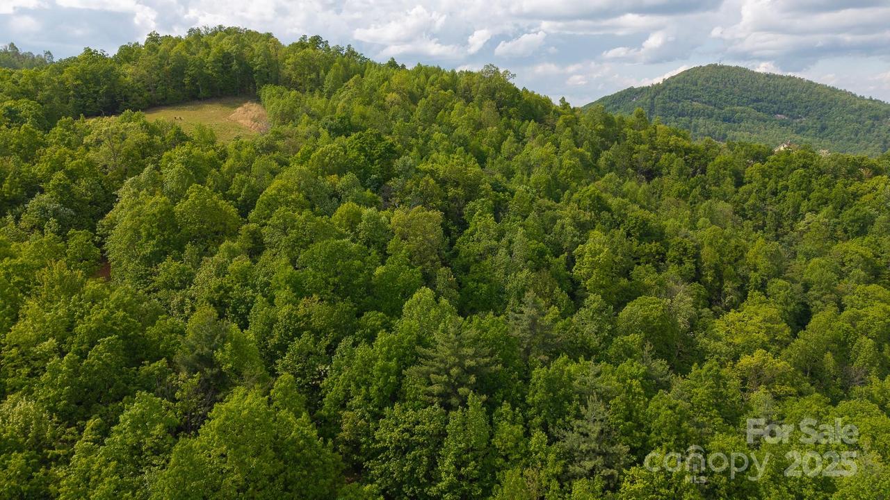TBD Treadway Ridge Dr. #1, Moravian Falls, NC 28654
