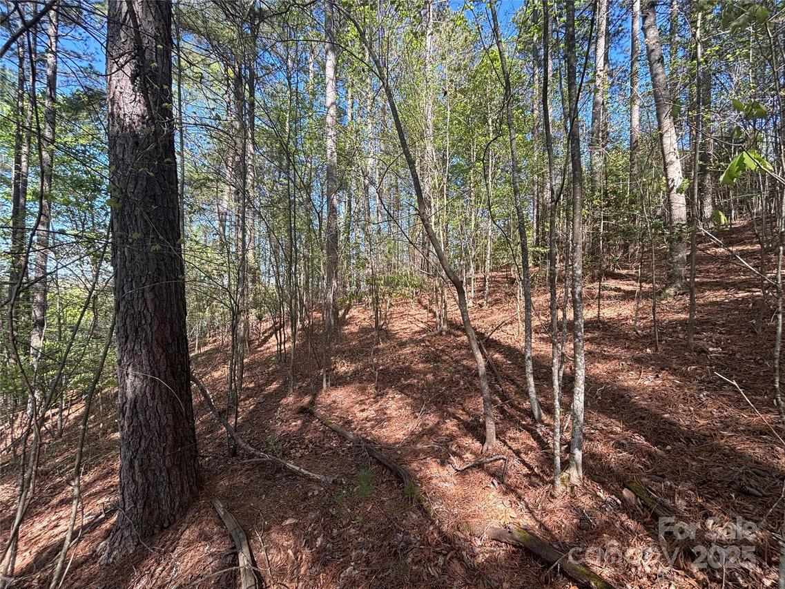 1105 Cleopatra Ln., Connelly Springs, NC 28612