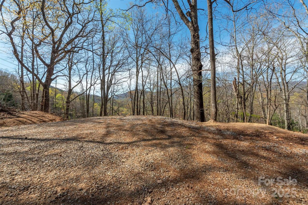 99999 Sunset Dr., Black Mountain, NC 28711
