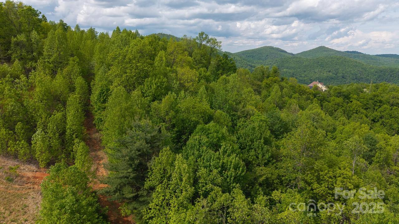 TBD Treadway Ridge Dr. #Lot 2, Moravian Falls, NC 28654