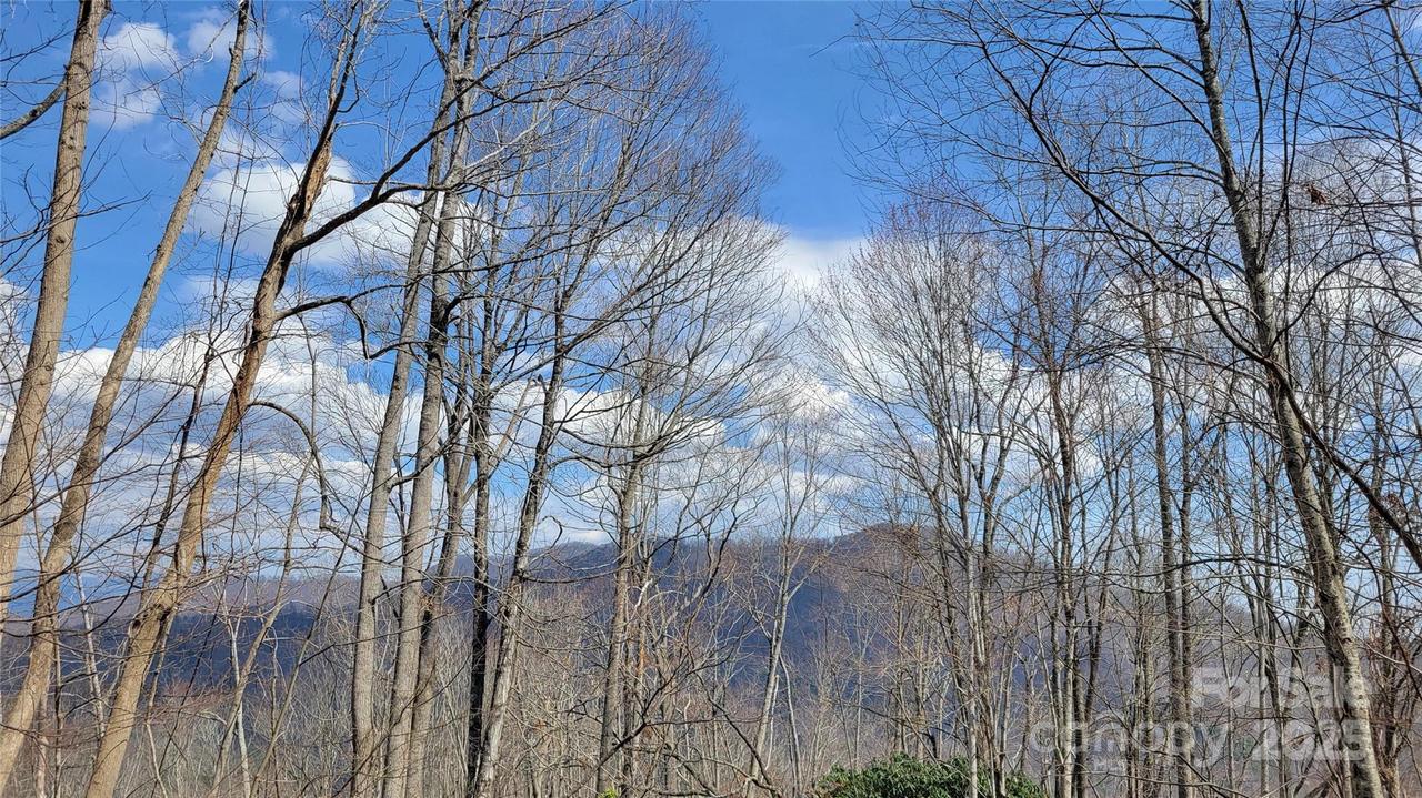 000 Joslin Ln., Burnsville, NC 28714