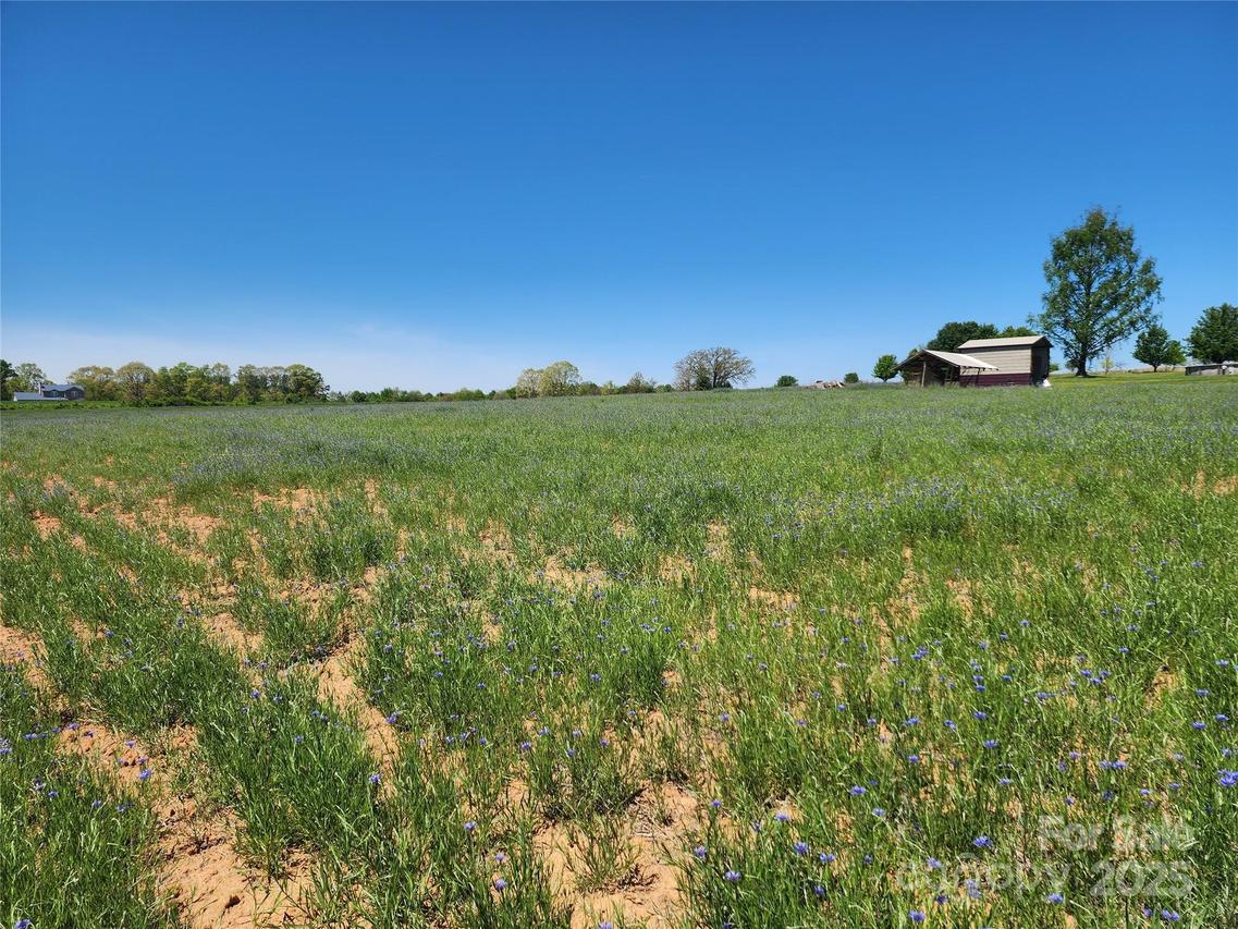 Mountain View Church Rd., Hamptonville, NC 27020