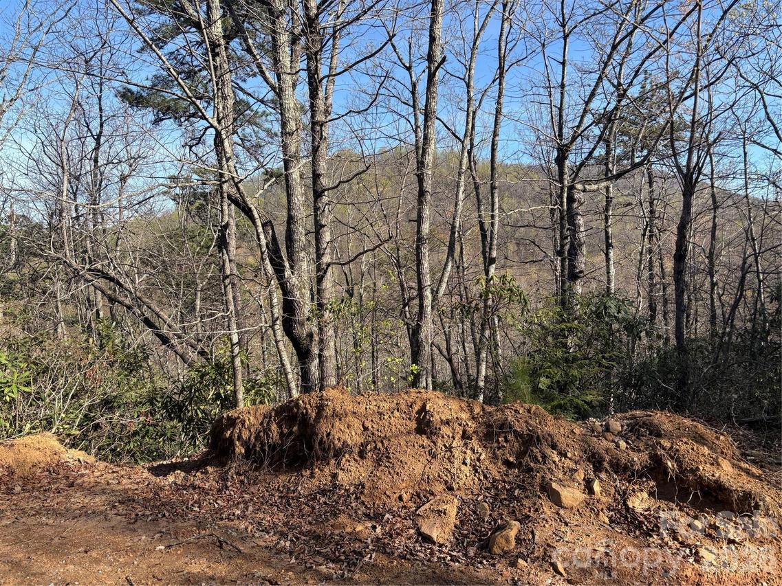 00 Kathy Lake Dr. #24/25, Edneyville, NC 28792