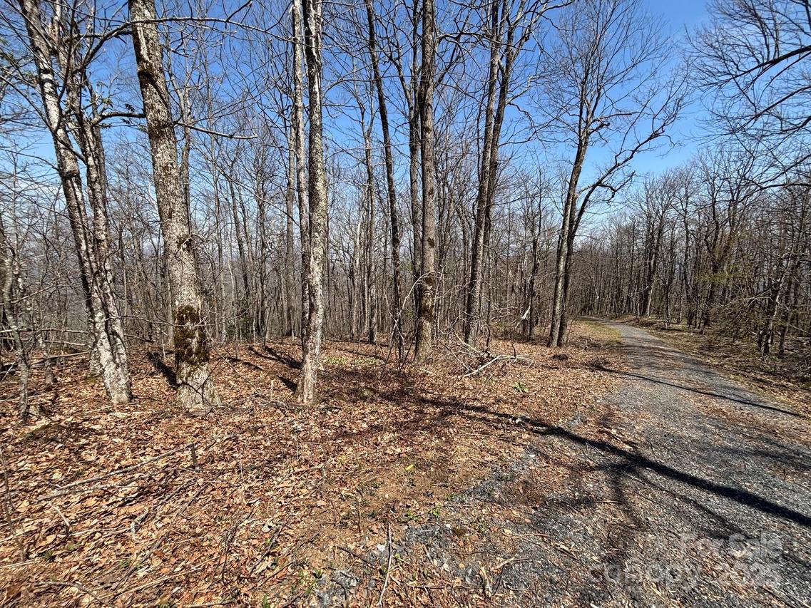 TBD Arrowhead Ridge Rd., Spruce Pine, NC 28777