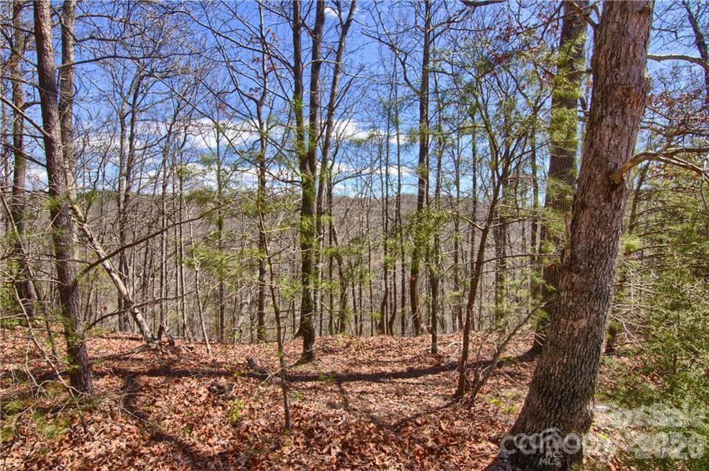 00 N Boundary Rd. #51/52, Mill Spring, NC 28756