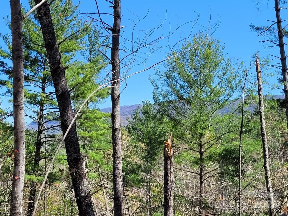 167 Fox Ridge Tr., Marion, NC 28752