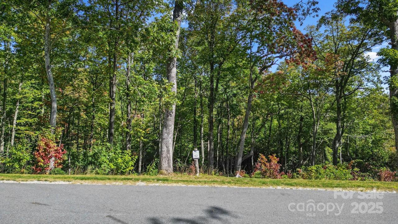Mountain Grove Ln. #Lot 62, Fletcher, NC 28732