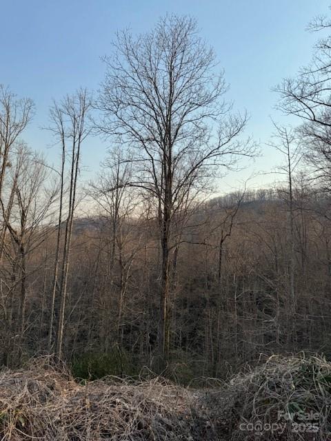 910 Morgan Hill Rd., Black Mountain, NC 28711