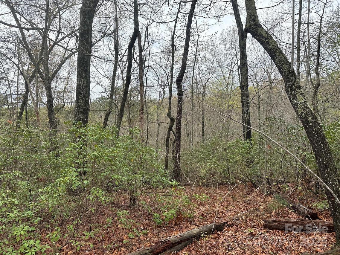 V/L Country Acres Dr., Old Fort, NC 28762
