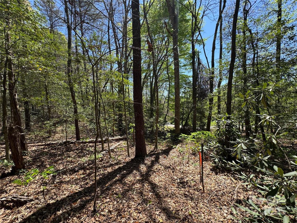 60 E Spring Wheel Dr., Old Fort, NC 28762