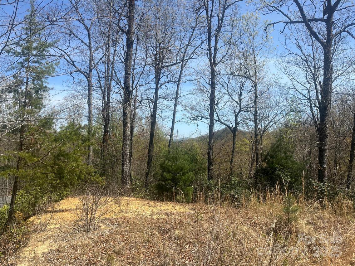 32 Wild Iris Rd., Brevard, NC 28712