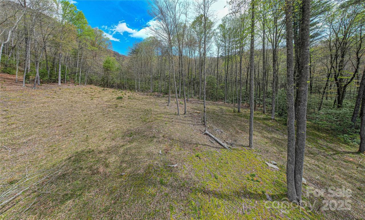 000 Rosman Hwy., Sapphire, NC 28774