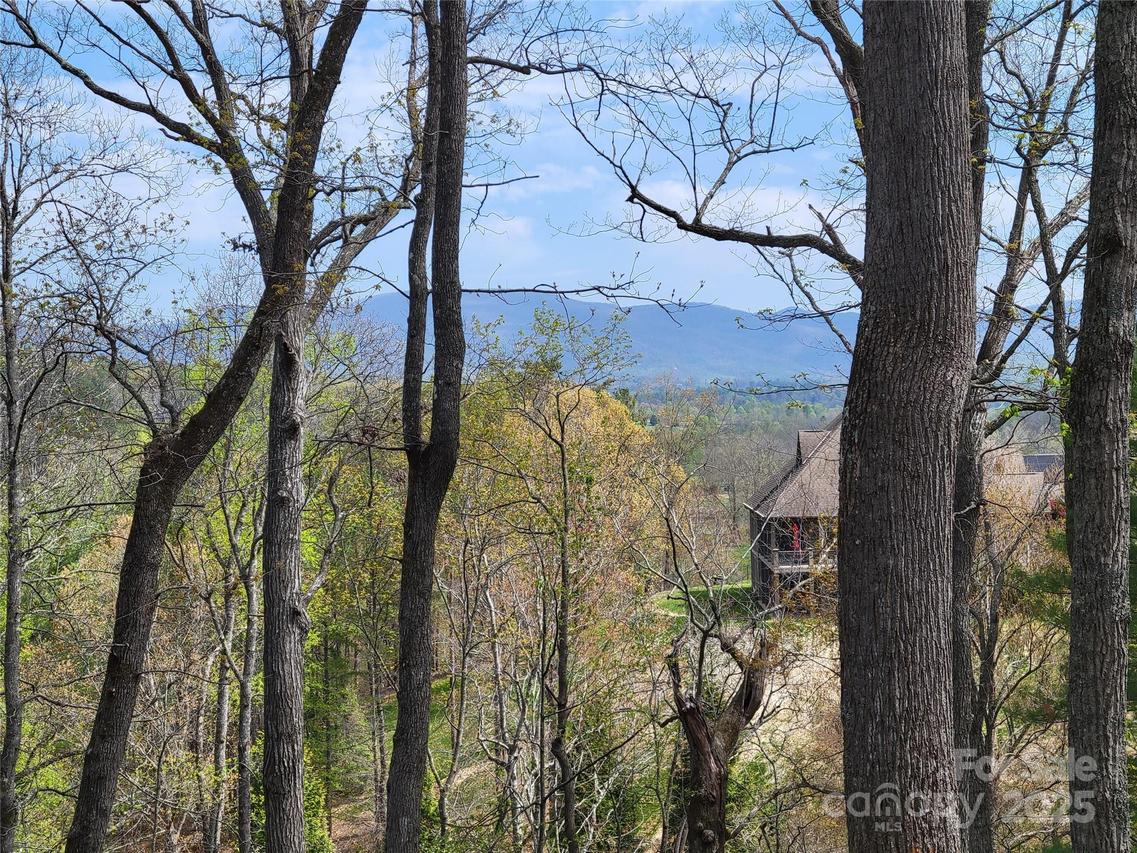 65 Bradford Vista, Fletcher, NC 28732