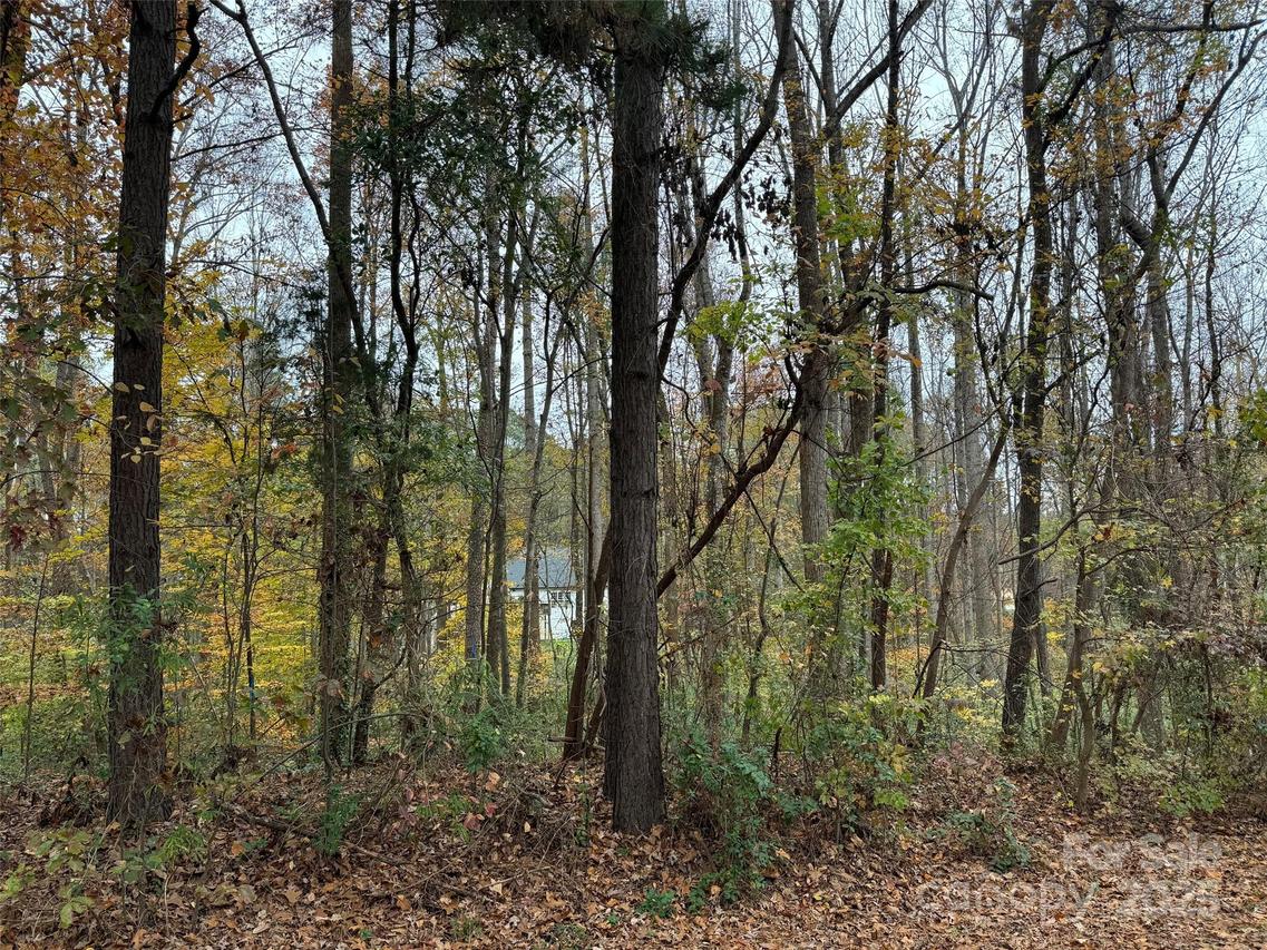 TBD Cardinal Loop #9,10,11, Stanley, NC 28164