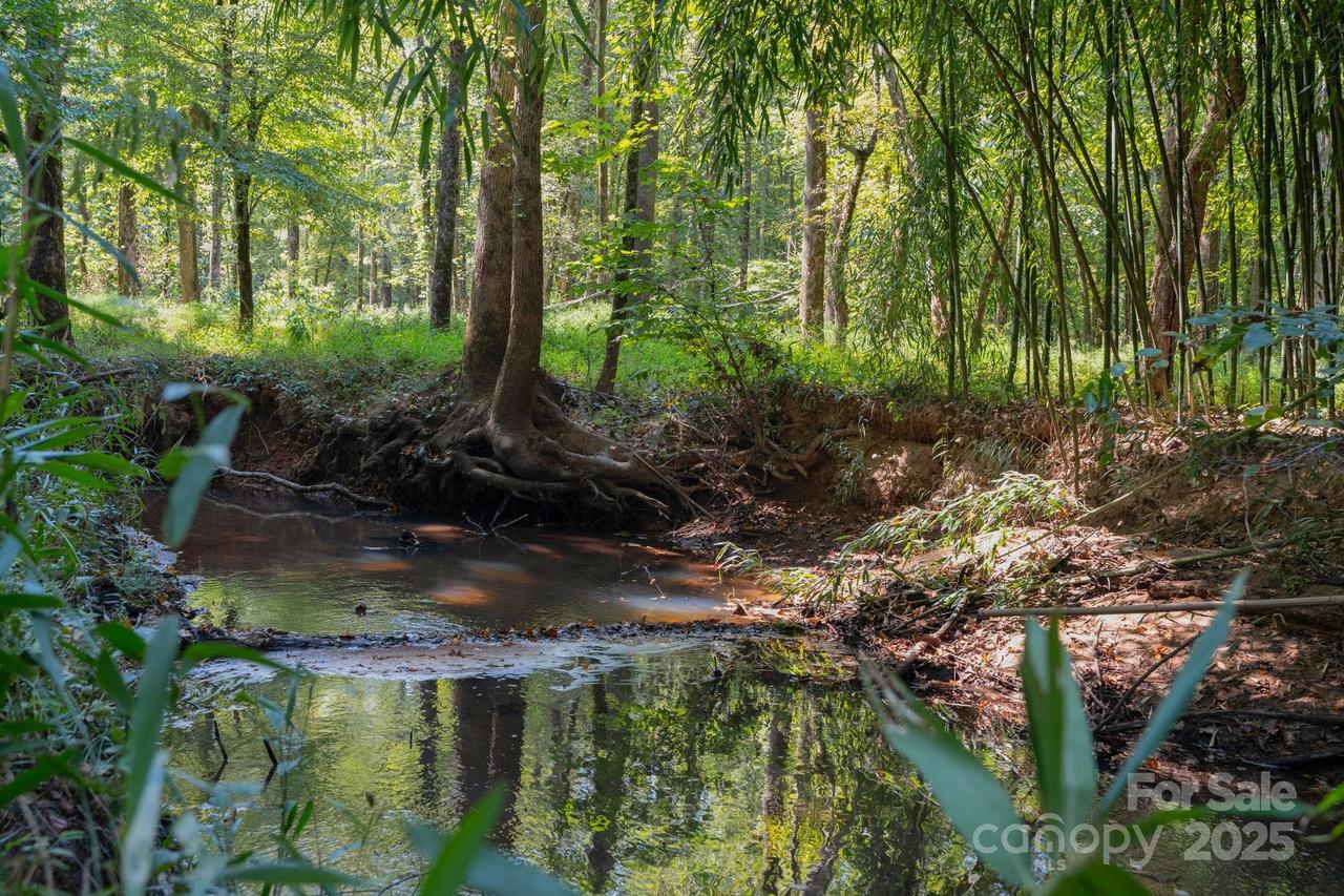 00 Stonehenge Ct., Waxhaw, NC 28173