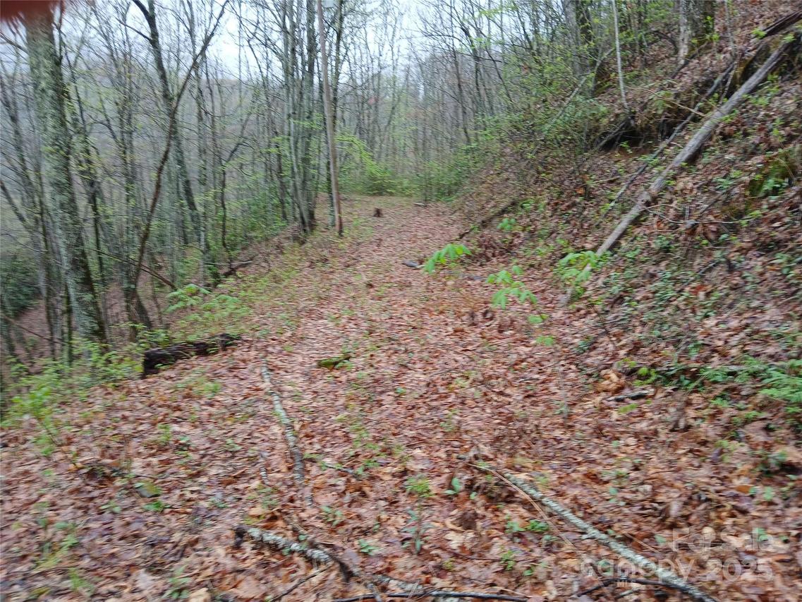 9999 Clara Corn Dr., Maggie Valley, NC 28751