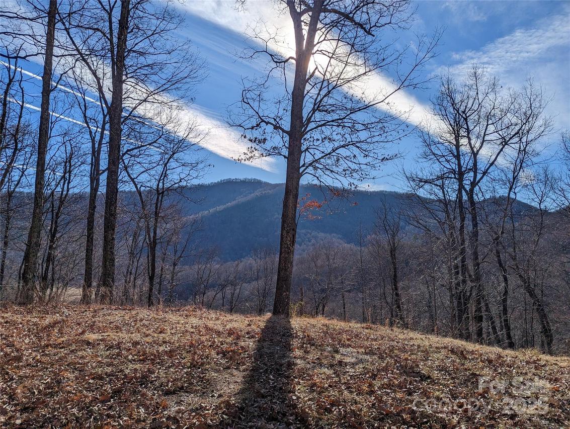 367 Kestrel Ln. #T-85, Black Mountain, NC 28711