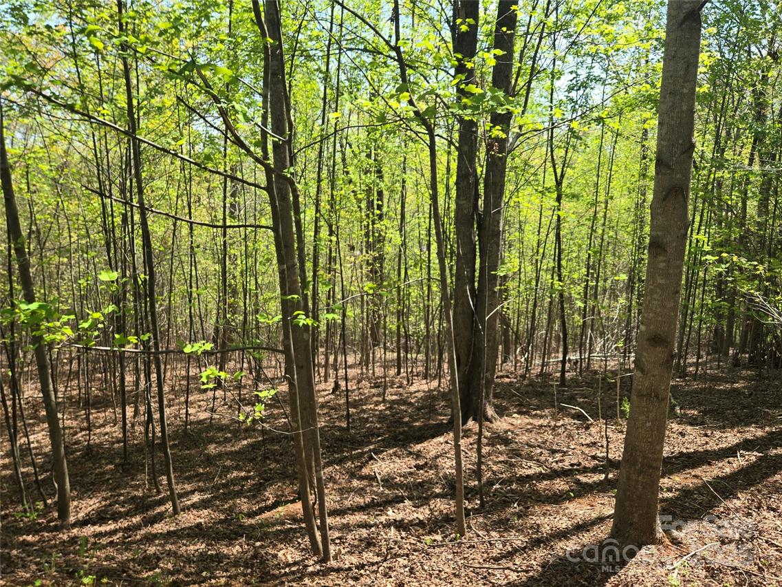 Lot 14 Back Hollow Dr., Lake Lure, NC 28746