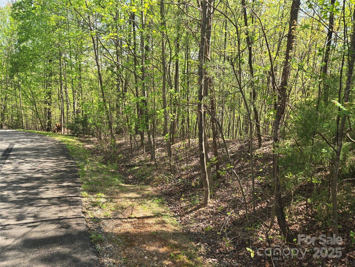 Lot 15 Touch Me Not Tr., Lake Lure, NC 28746