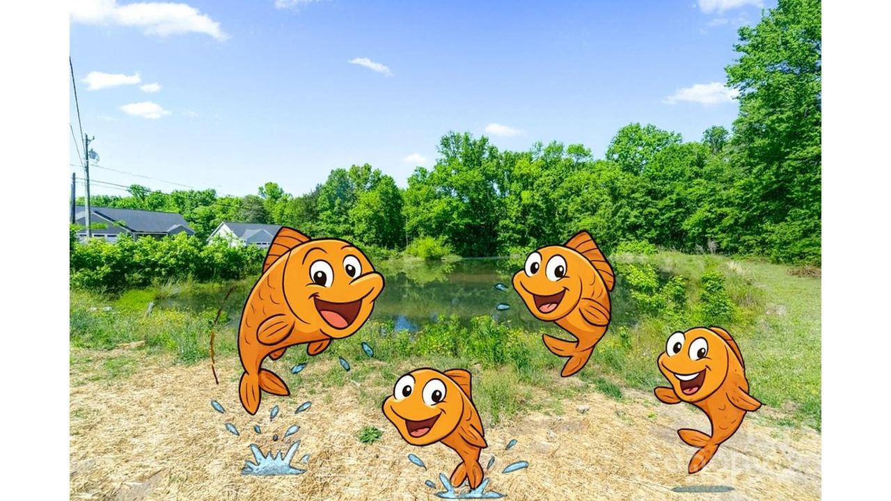 503 Eddleman Rd., Kannapolis, NC 28083