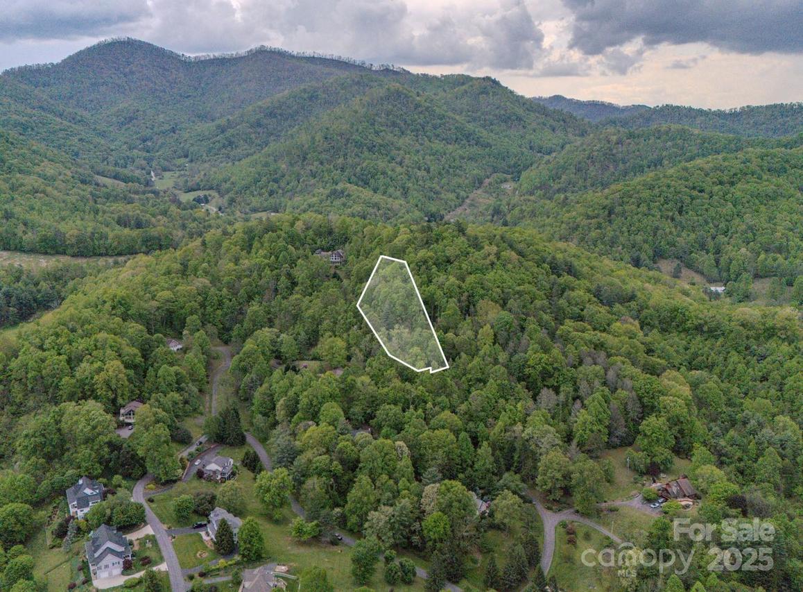 000 Buena Vista Dr. #25, Barnardsville, NC 28709