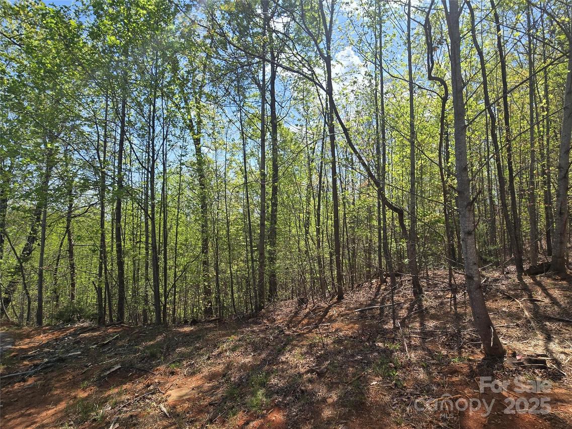 Lot 20 Touch Me Not Tr., Lake Lure, NC 28746