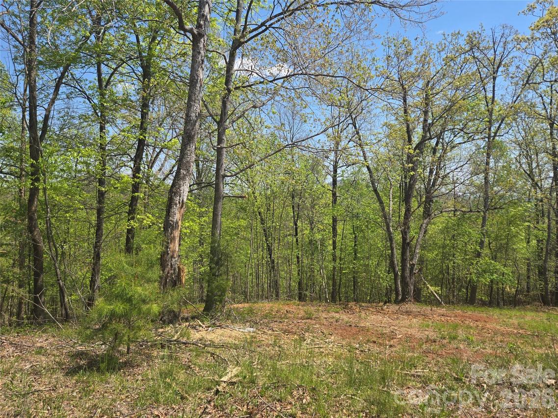 Lot 23 High Rock Ridge, Lake Lure, NC 28746