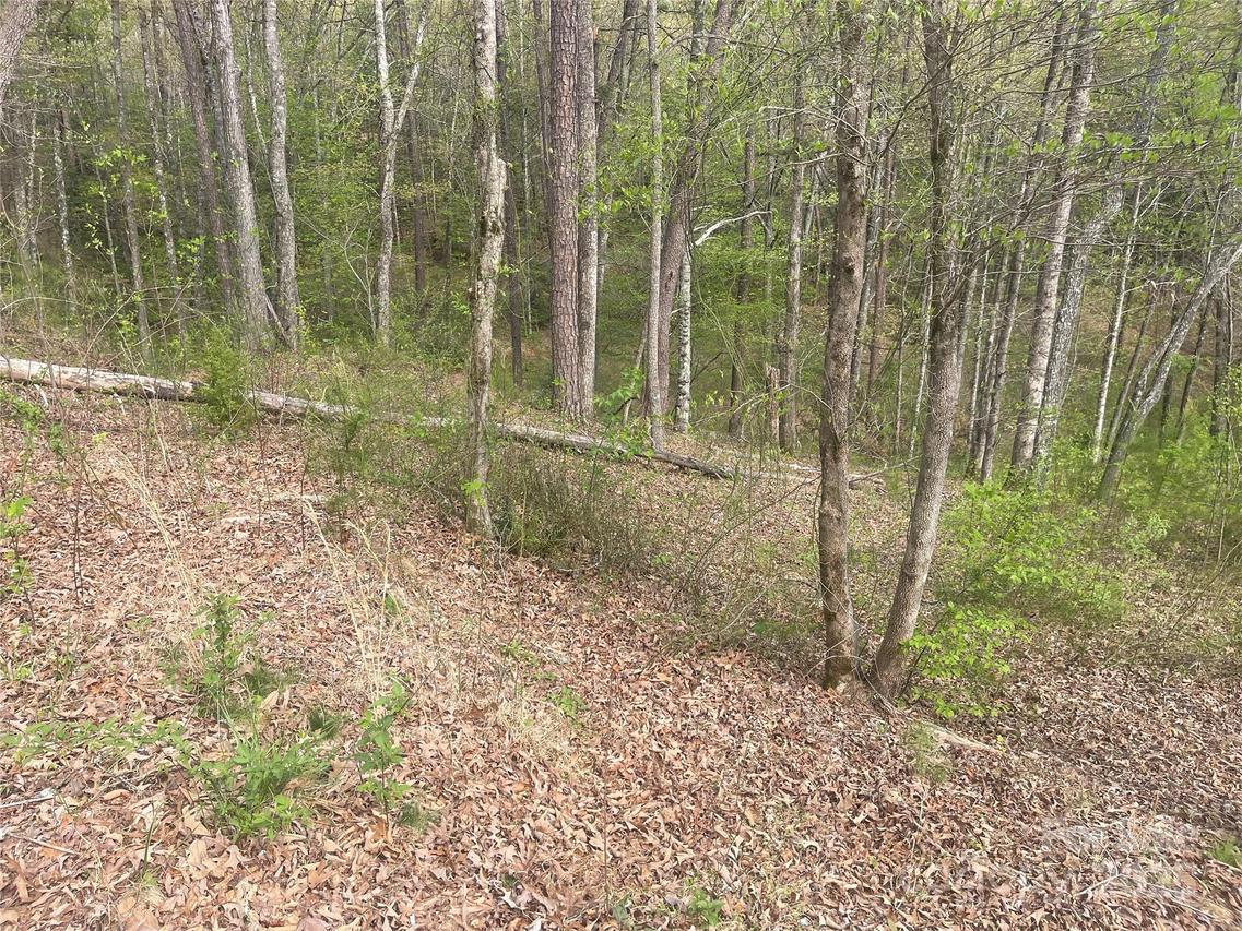 Lot 22 River Club Dr., Cullowhee, NC 28723