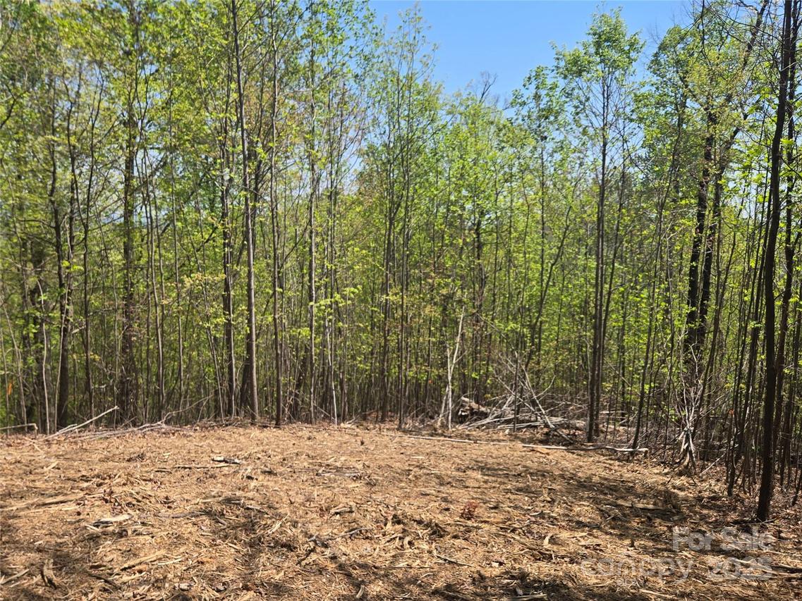 Lot 32 High Rock Ridge, Lake Lure, NC 28746