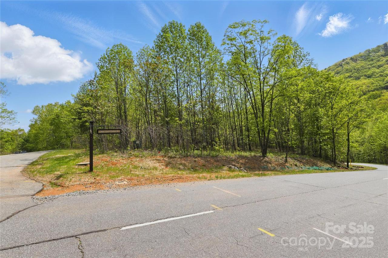 Lot 2049 Deep Gap Farm Rd. #2049, Mill Spring, NC 28756