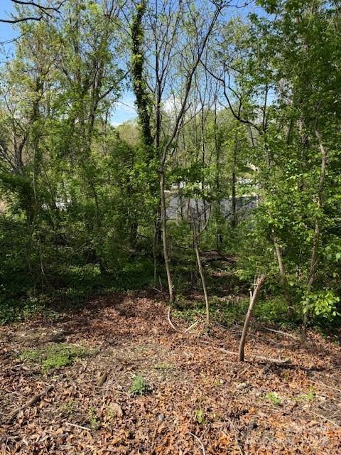 99999 Reese St., Woodfin, NC 28804