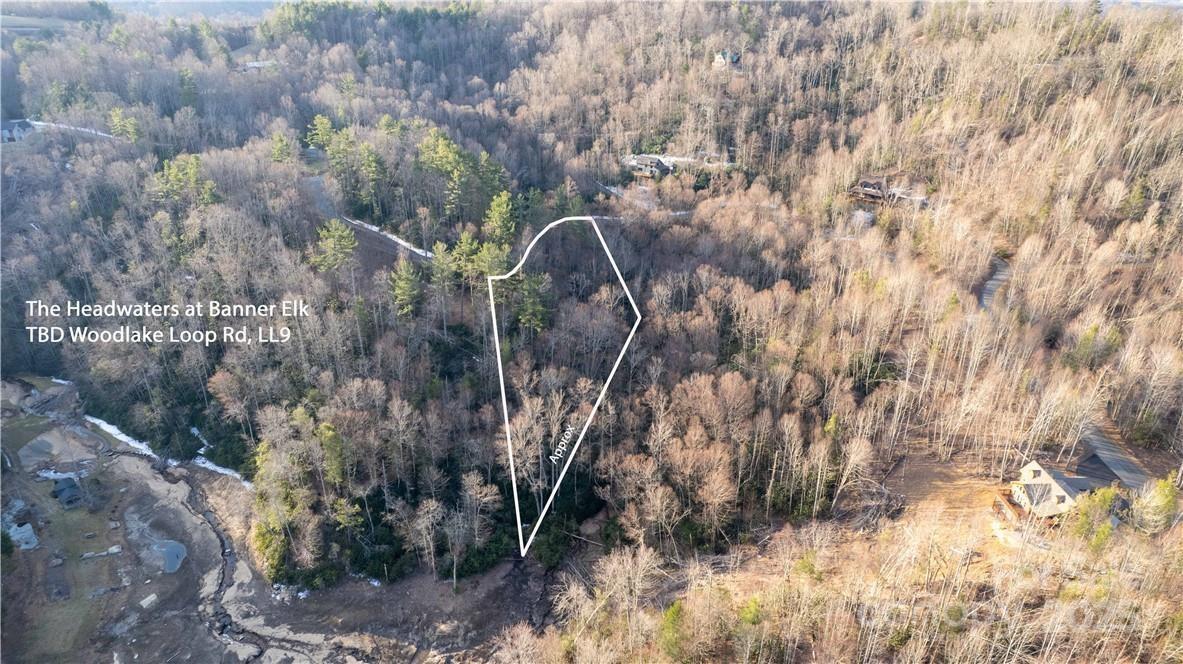 TBD Woodlake Loop Rd. #LL9, Elk Park, NC 28622