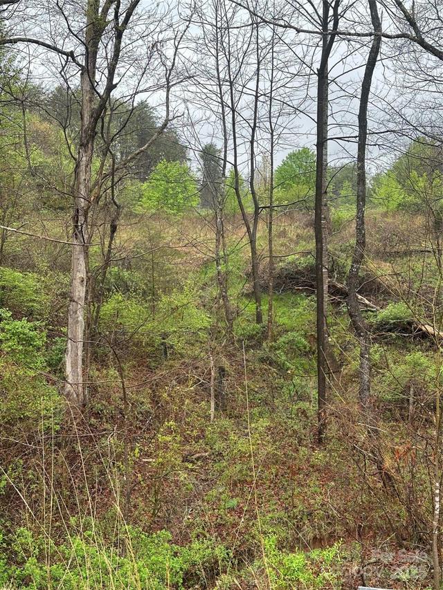 V/L Holland Dr., Marion, NC 28752