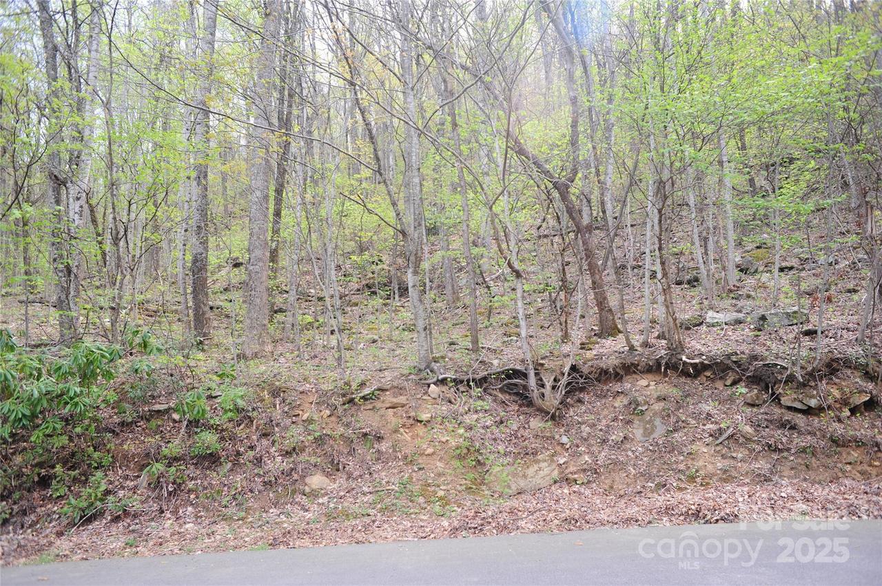 36 Great Aspen Way #312, Black Mountain, NC 28711