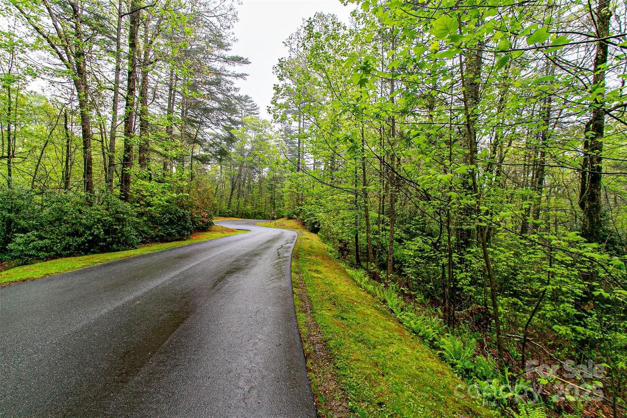 TBD High Hemlock Tr. #46, Brevard, NC 28712