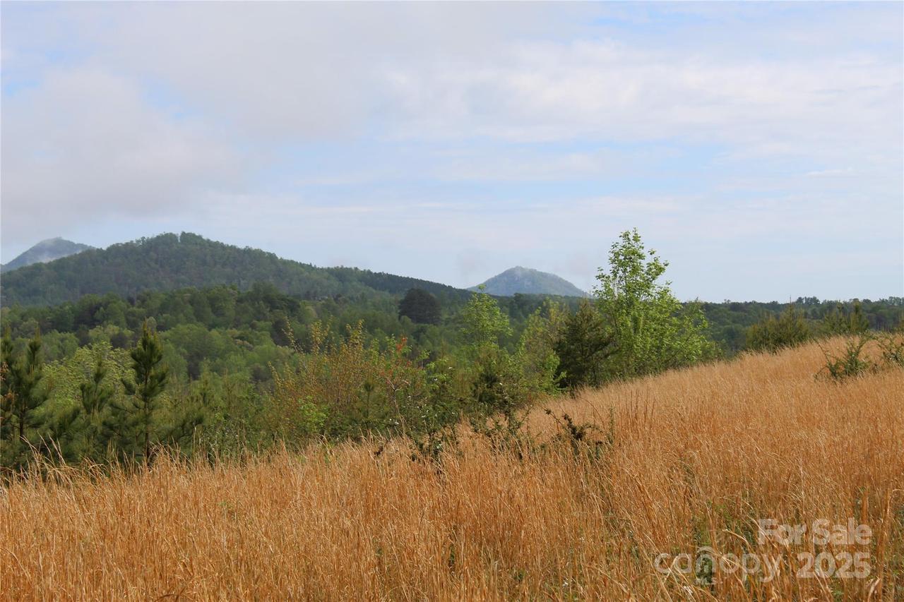332 Parris Rd., Rutherfordton, NC 28139