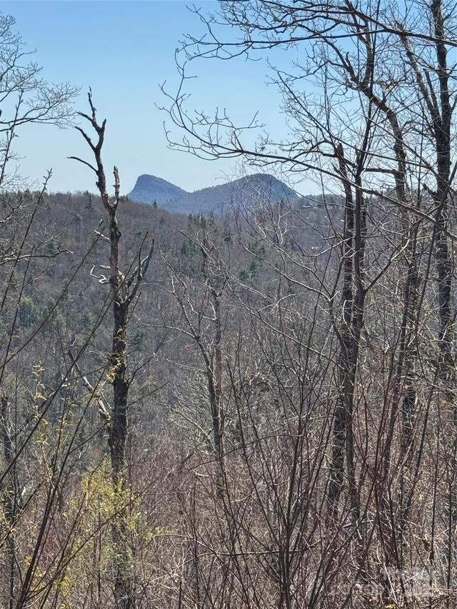 7668 Turtle Rock Rd., Newland, NC 28657