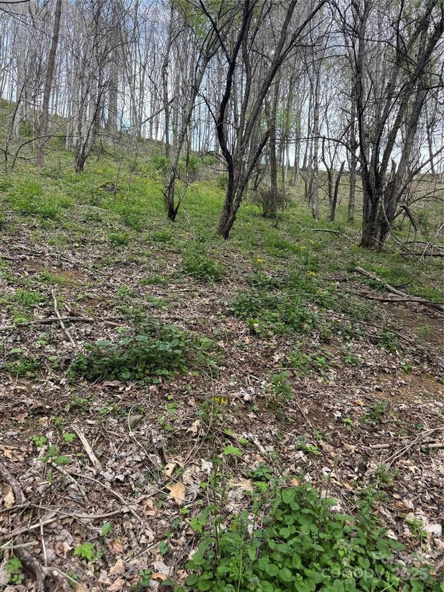 TBD Birchfield Creek, Newland, NC 28657