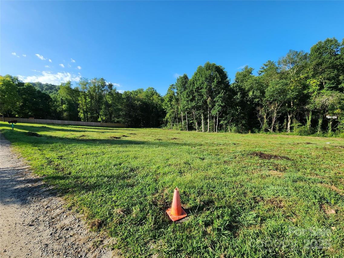 233 Edgewood Rd. #4, Asheville, NC 28803