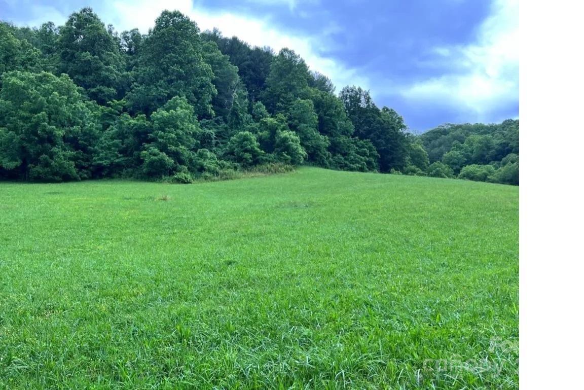 Roscoe Lewis Rd., Sylva, NC 28779
