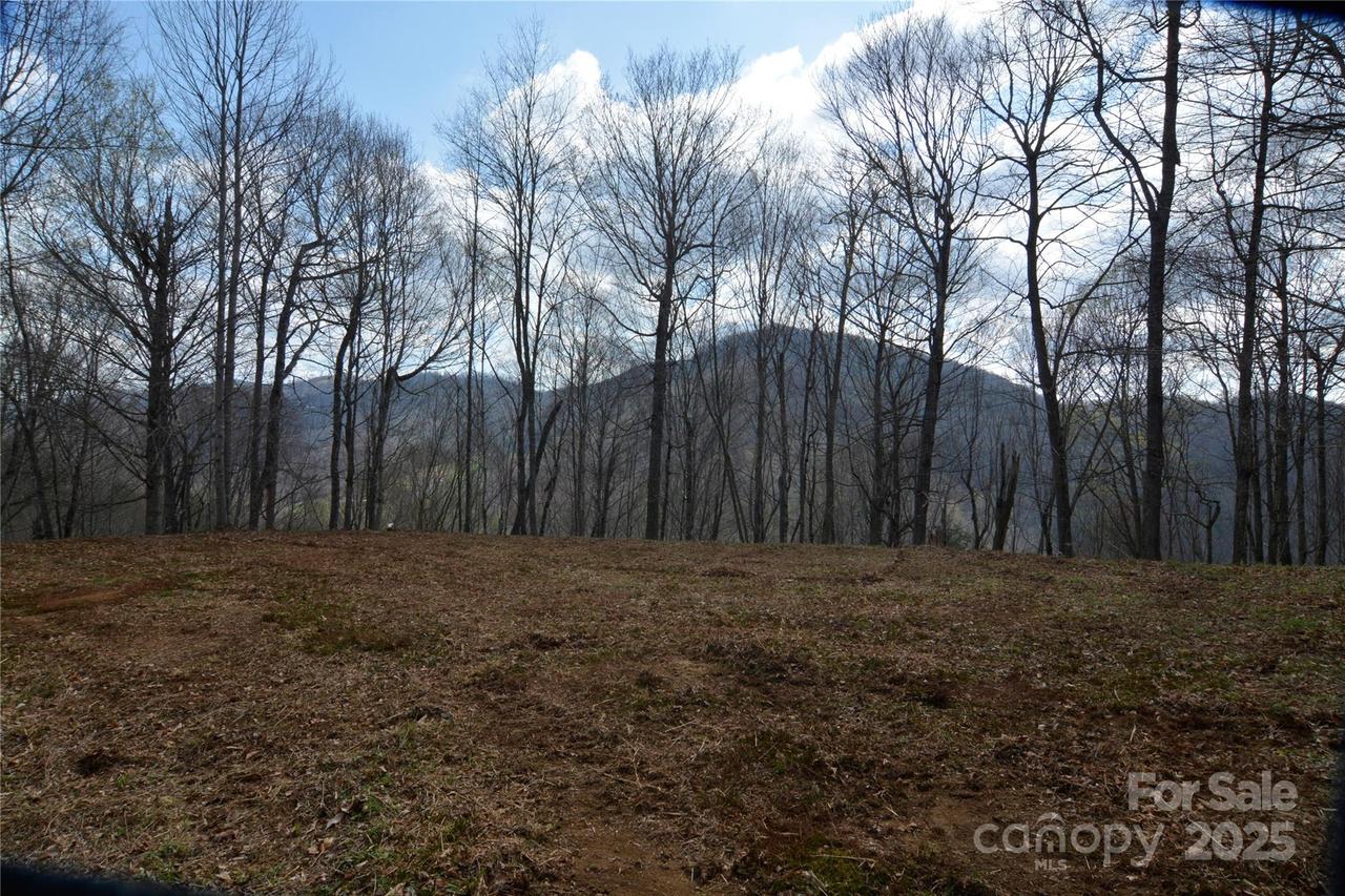 220 Screaming Eagle Dr., Mars Hill, NC 28754