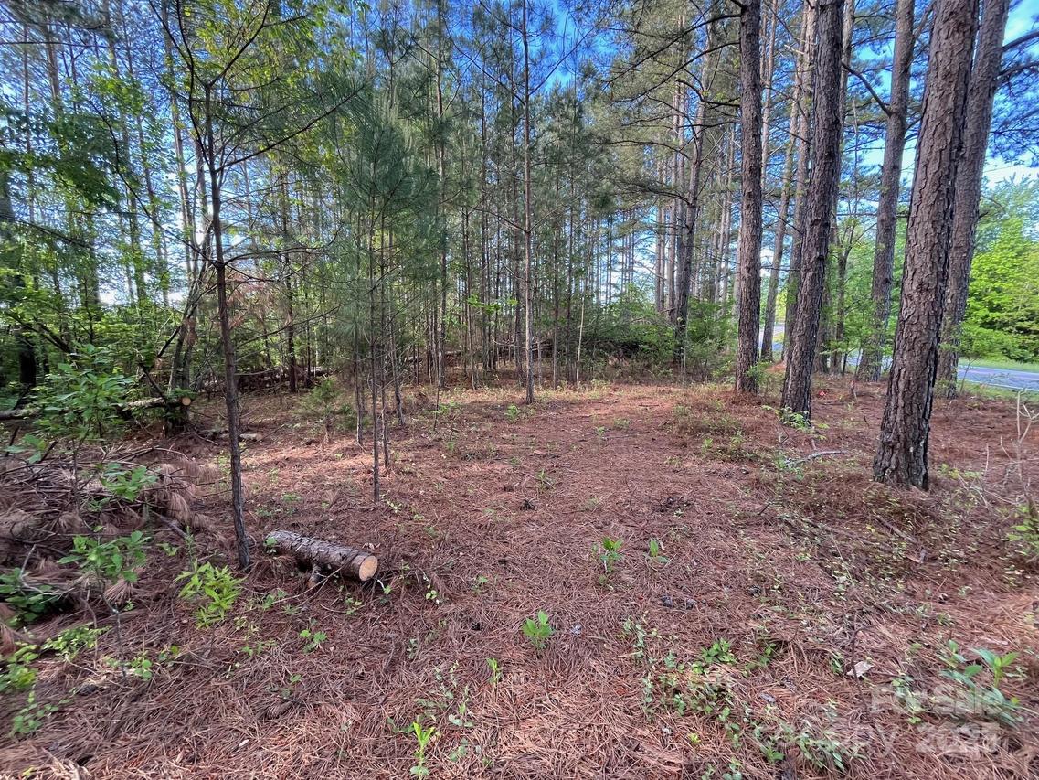2923 Poors Ford Rd., Rutherfordton, NC 28139
